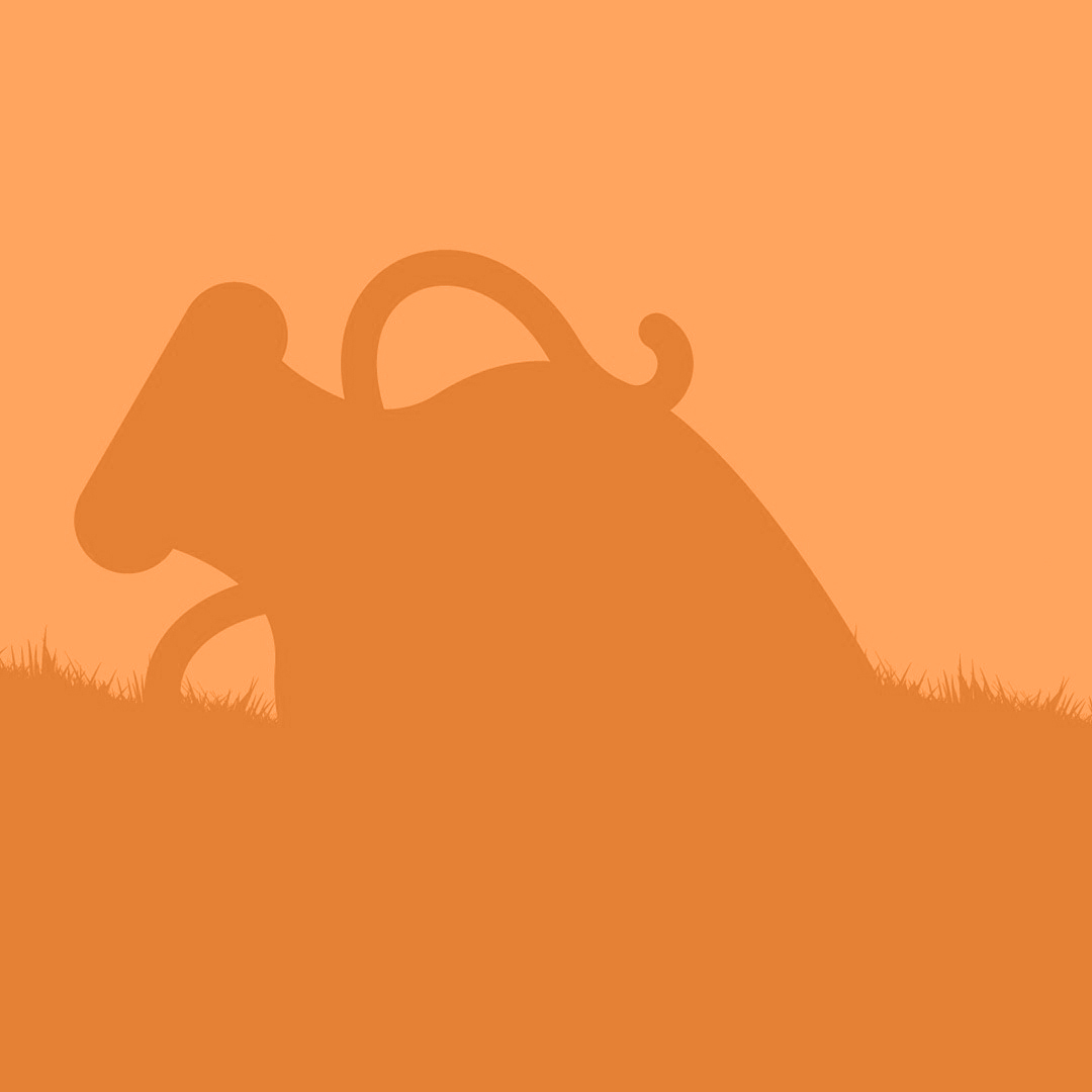 Soprintendenza e comune di jesolo insieme per il patrimonio culturale subacqueo, alla scoperta di un nuovo relitto davanti alla laguna del mort