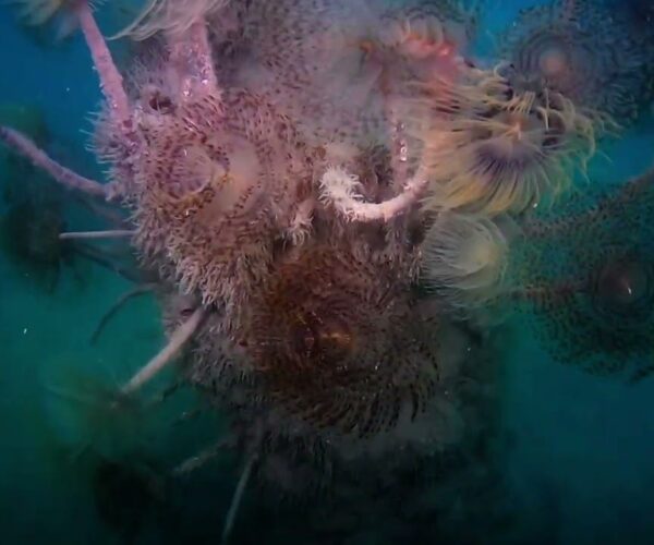 jesolo-history-sub-3